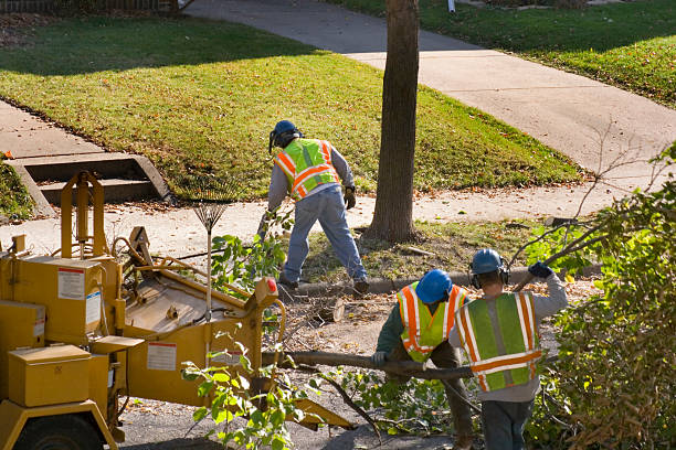 Best Lawn Mowing Services  in Mission Bend, TX